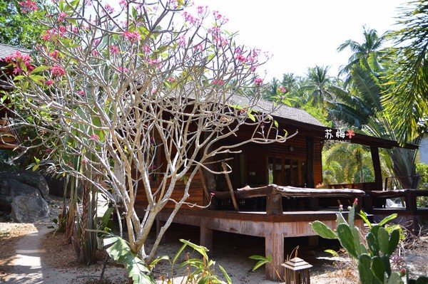 难忘蜜月结局,苏梅岛蜜月旅行