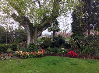 新西兰南岛顺时针逆时针,新西兰四个人游玩大概多少钱