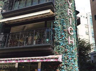 韩国新世界免税店怎么退税,韩国旅游奢侈品退税多少