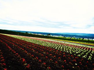 人在美途民族风旅拍,人在美途