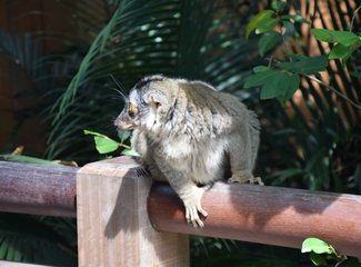去抓住夏天的尾巴--WSM大魔王坡县纪行