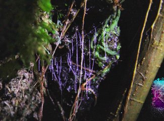 「2016.10RaesTriptoNewZealand」11日初次南半球之纽西兰