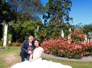 新西兰南岛自驾游景色,新西兰南岛跳伞攻略