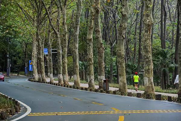 东湖绿道怎么玩最方便,东湖游玩攻略从绿道开始