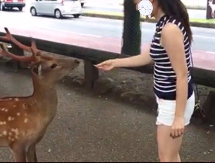 去东京住airbnb,相识十年从一个人到一家四口