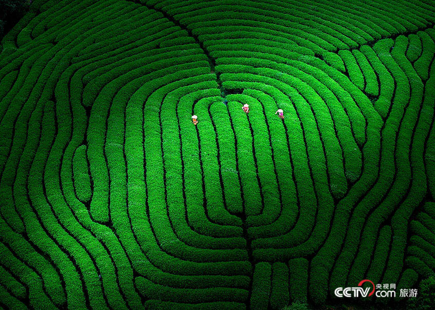 中国最美风景拍摄,中国十大风光摄影圣地