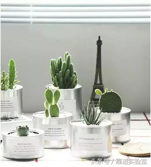 餐厨好物推荐,年中好物排行榜前十名