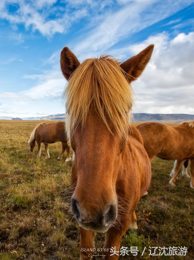 冰岛的两点自然奇景,真实的冰岛全景