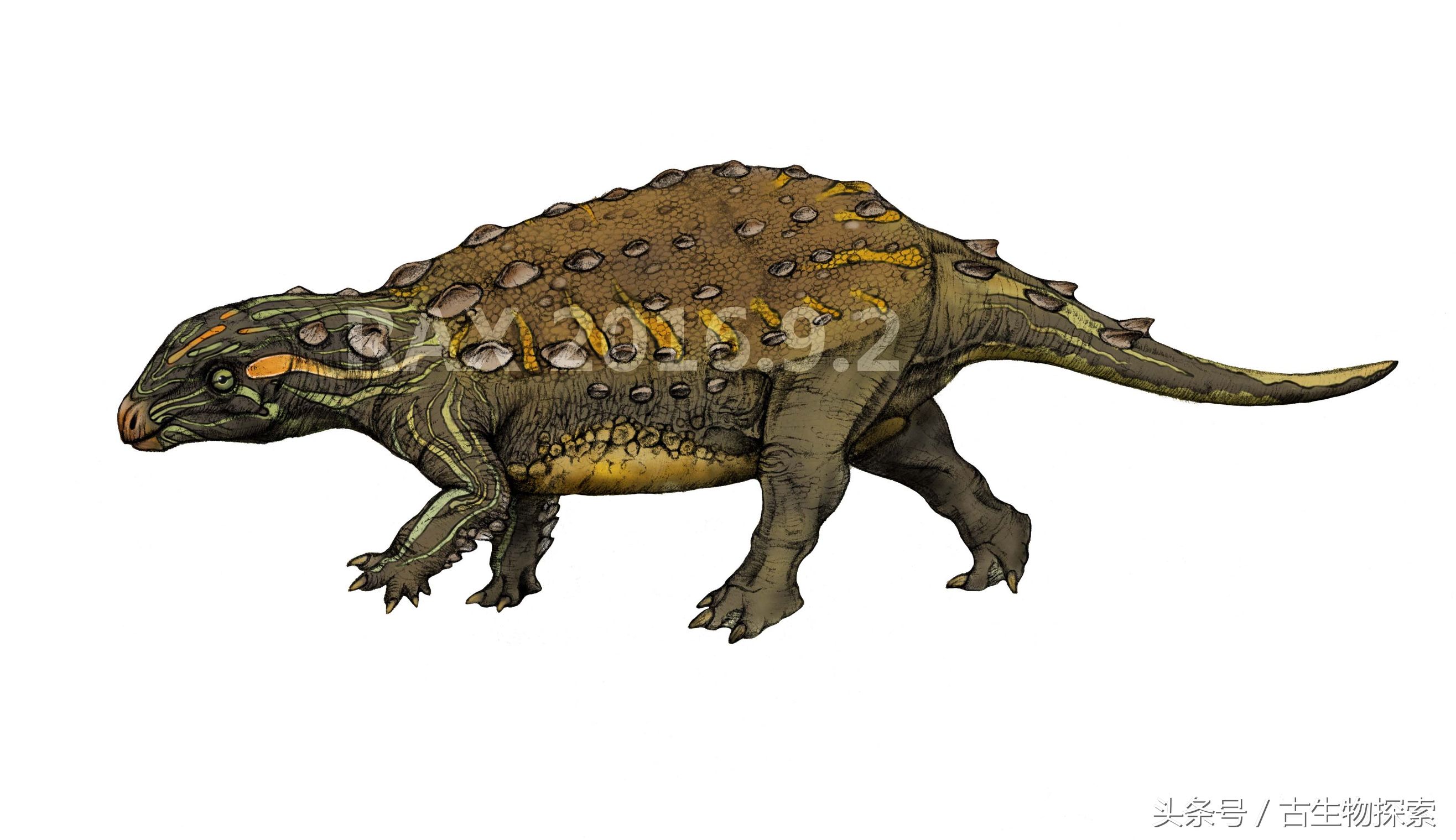 2021年神兽大全,1-8世代神兽盘点