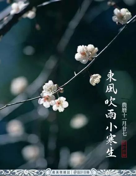 风吹腊梅香的诗句,风吹腊梅香时至小寒