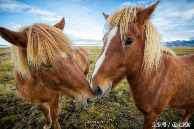 冰岛的两点自然奇景,真实的冰岛全景