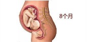 孕10周胎儿发育正常流褐色分泌物,第10周胎儿发育图片