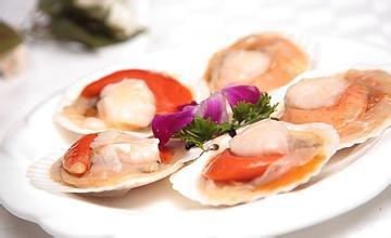 种养最挣钱的好项目,2023年最赚钱的养殖项目