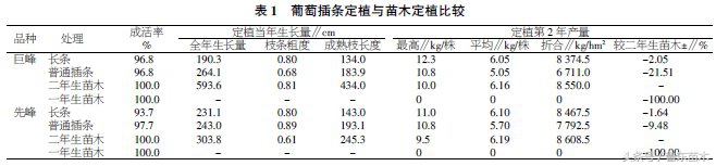 葡萄扦插育苗最佳方法,怎样扦插葡萄成活率高