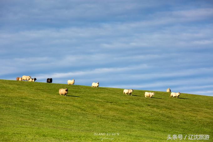 冰岛的两点自然奇景,真实的冰岛全景