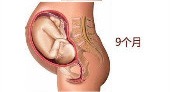 孕10周胎儿发育正常流褐色分泌物,第10周胎儿发育图片