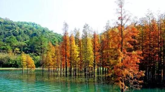 广东也能看到“九寨沟”这样的美景，还不止一个呢！