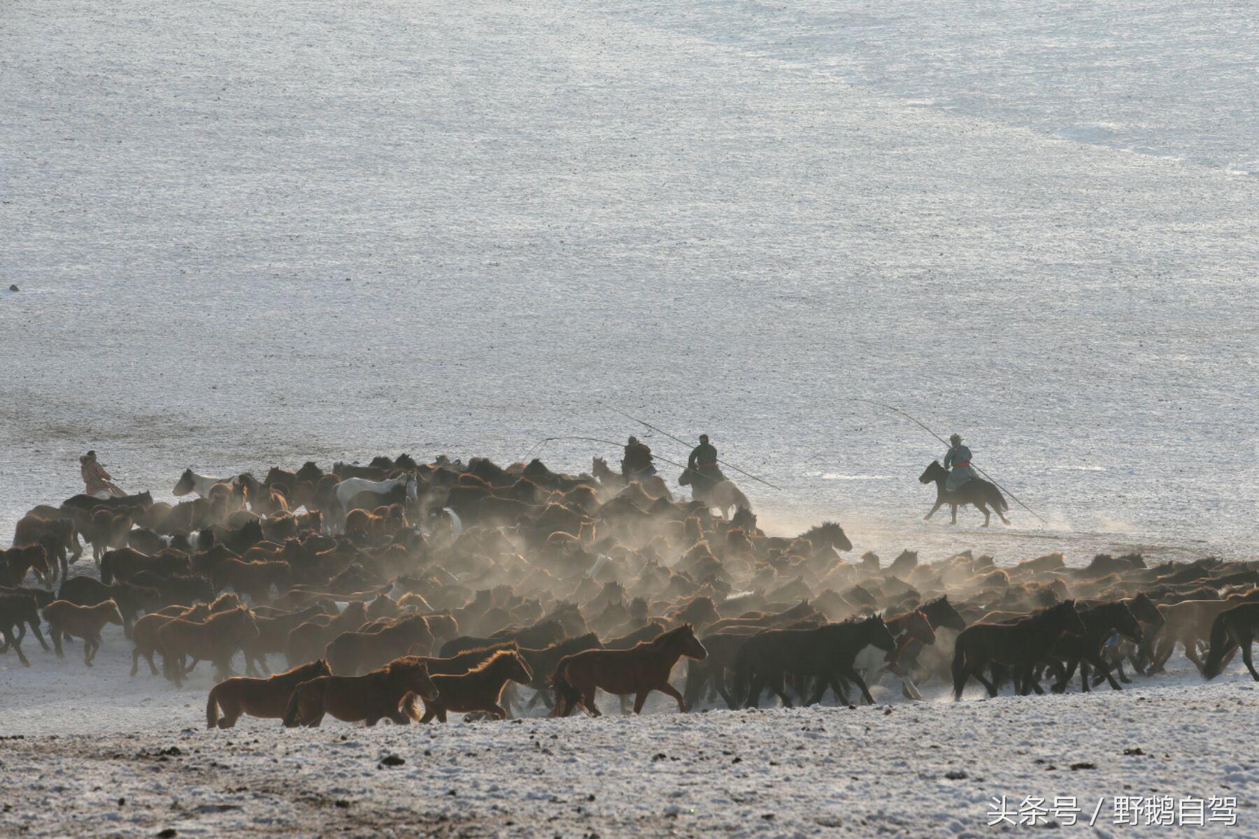 锡林郭勒盟那达慕自驾攻略,锡林郭勒冰雪那达慕完整版