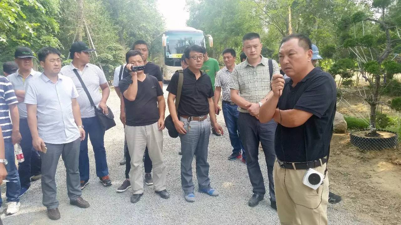 苗木那些事,山东苗木现状分析