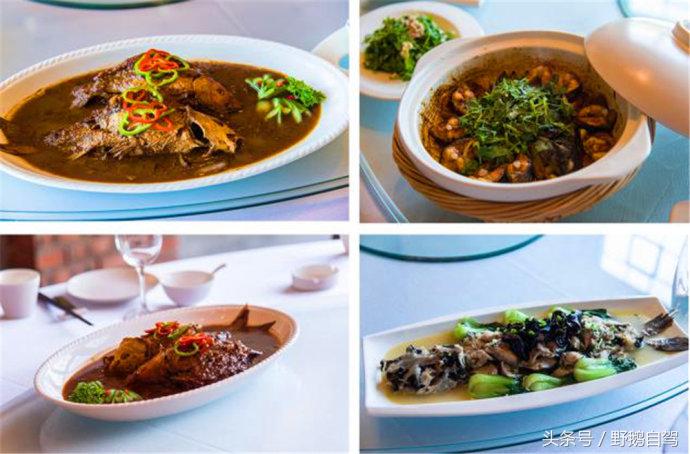 平谷野鹅自驾游,北疆野鹅自驾游