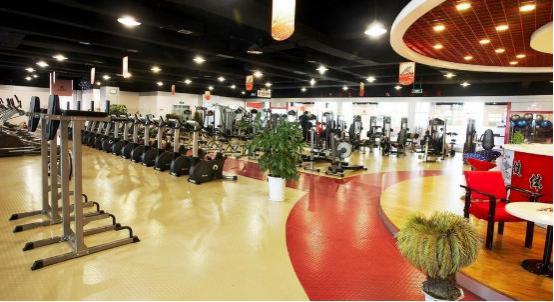 鸟巢的恐怖事件,鸟巢意外事故