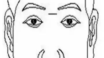 你的面相藏着一生的运气,属猴运势太差纹什么最好