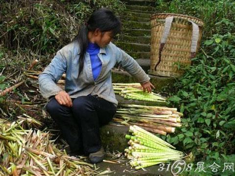 西部刀手，行走于中国道教神山四川洪雅瓦屋山，暗藏杀伐之气！