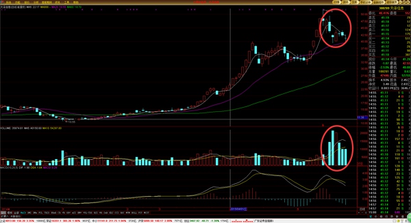 高级操盘手必备技巧,顶级操盘手的10个日常步骤供参考