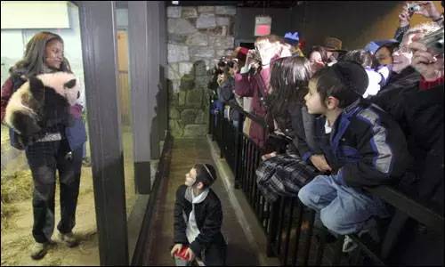 功夫熊猫是四川熊猫还是秦岭熊猫,为什么熊猫是中国的国宝