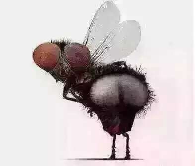 面部美容整形方法,面部综合整形美容