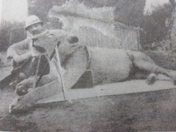 威严公狮子其实不靠谱：“恋足癖”、爱足疗，还关公崇拜？