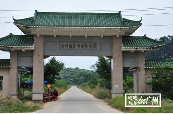 广州最新最美最好玩的景点,广州最值得去玩的景点推荐一下