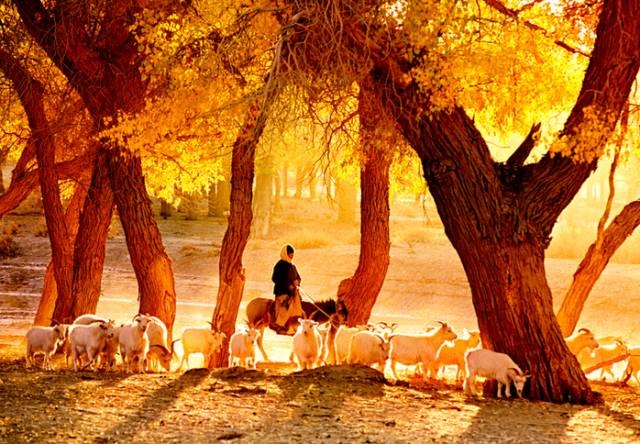 中国每个季节的旅游攻略 (中国一年四季的旅游攻略)