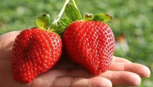 您好，2017年｜阳光灿烂，花果飘香，迎新年这些地方你不得不去！