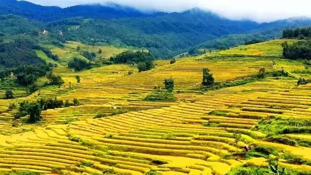 中国每个季节的旅游攻略 (中国一年四季的旅游攻略)