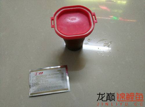 新入缸锦鲤趴缸对策,锦鲤聚在一起趴缸底