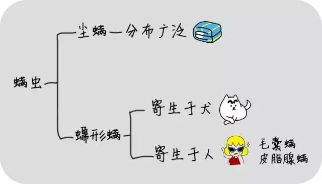 原来每天都和她们睡在一起，你知道吗？