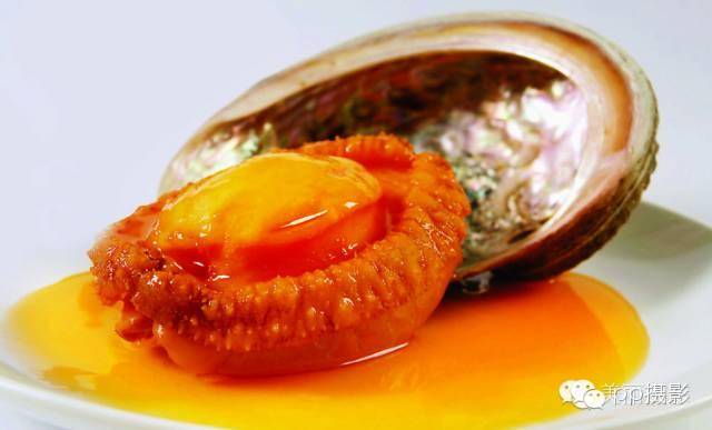 2017年霞浦“海鲜年历”出炉，你知道现在该吃什么吗？