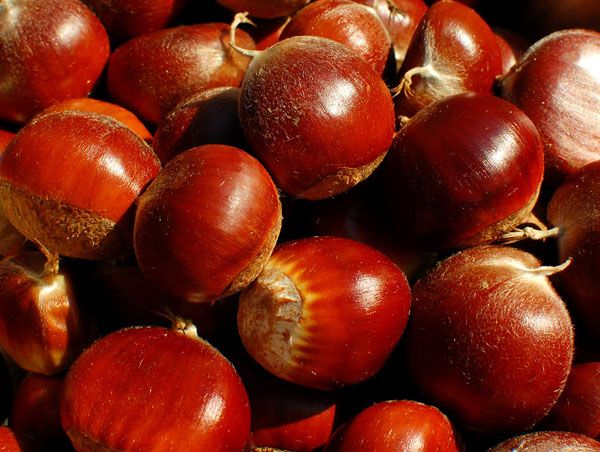 缃楃敯鏉挎牀椋庢櫙瑙嗛,缃楃敯鏉挎牀鍗抽鏉挎牀