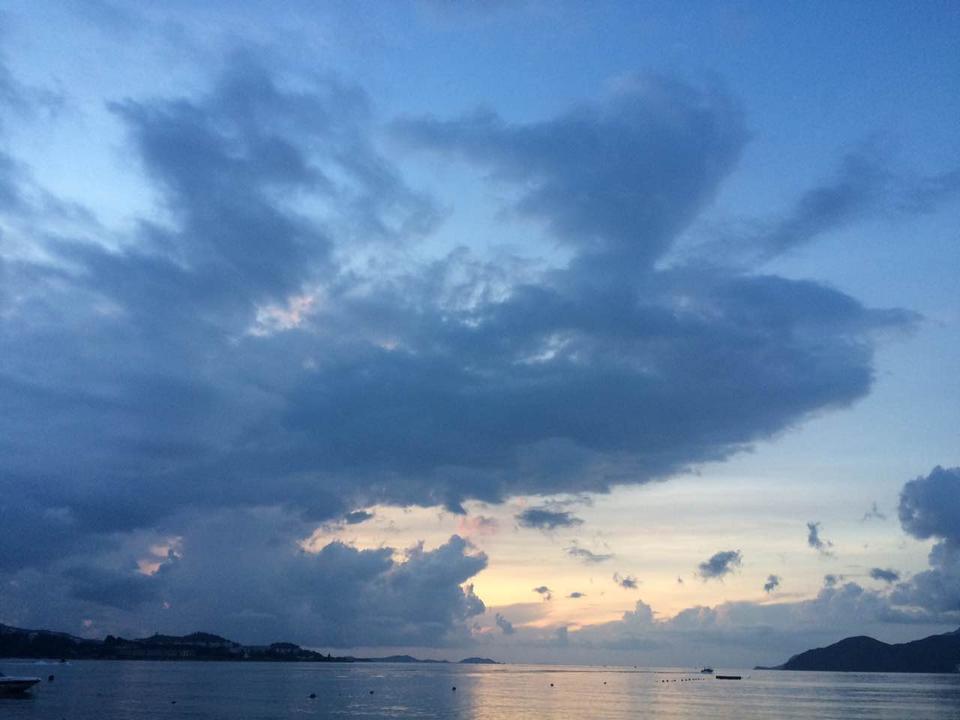 深圳哪里有大片的花海可以欣赏,深圳的花海有多美