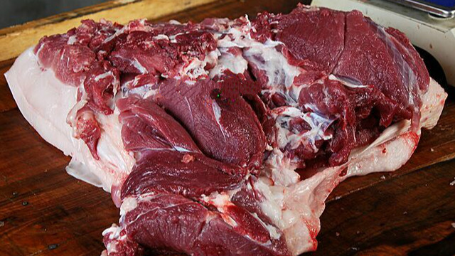 疯狂的洋崽真实版,疯狂的猪肉炖粉条子