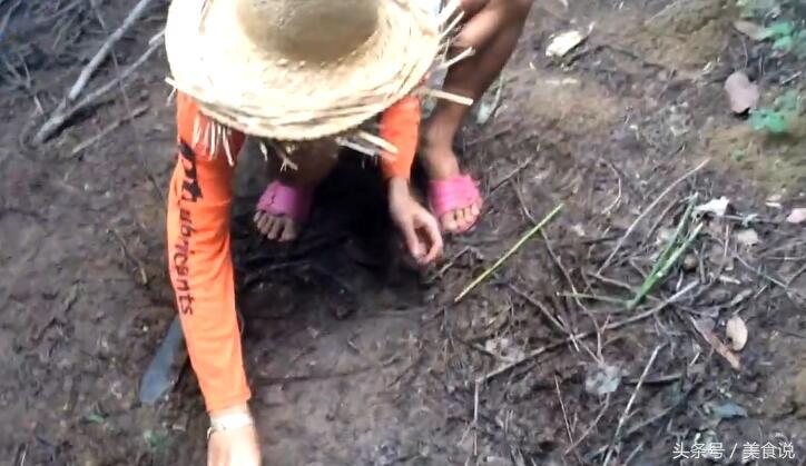 农村里的人是这样抓野鸡的，用细竹竿做陷阱很好用