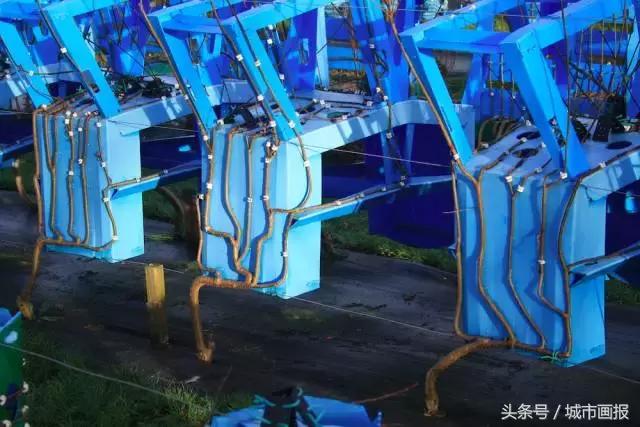 这个英国大叔从地里“种”出了一把椅子，价值2万多！