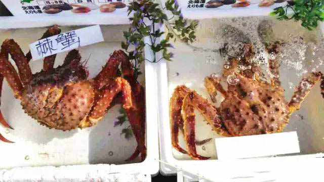 北海道函馆山雪景,冬天北海道函馆