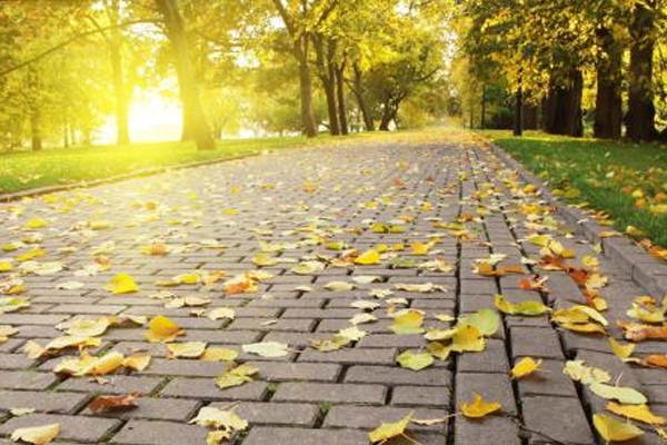 c罗获得过几次世界足球先生,C罗当选世纪最佳球员