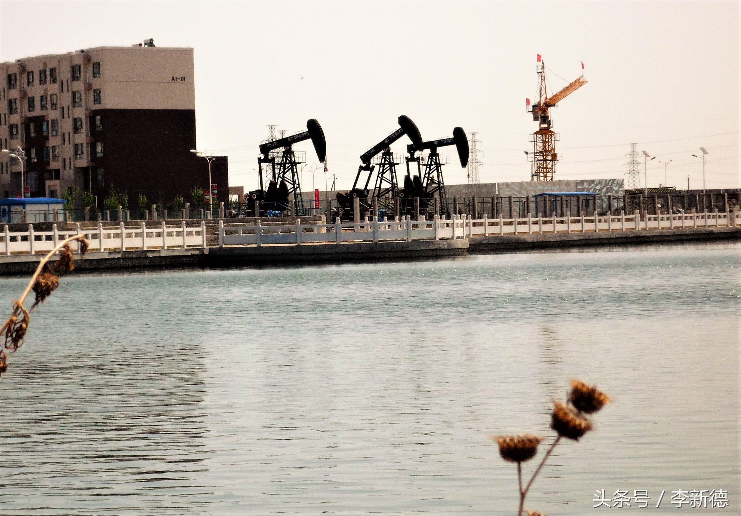 石油为什么叫磕头机,石油磕头机的由来