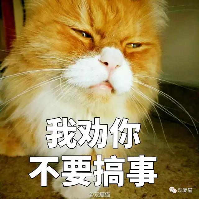 《蓝毛毛找猫》第三讲：虎假虎威