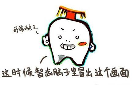 爱“惹事生非的”智齿