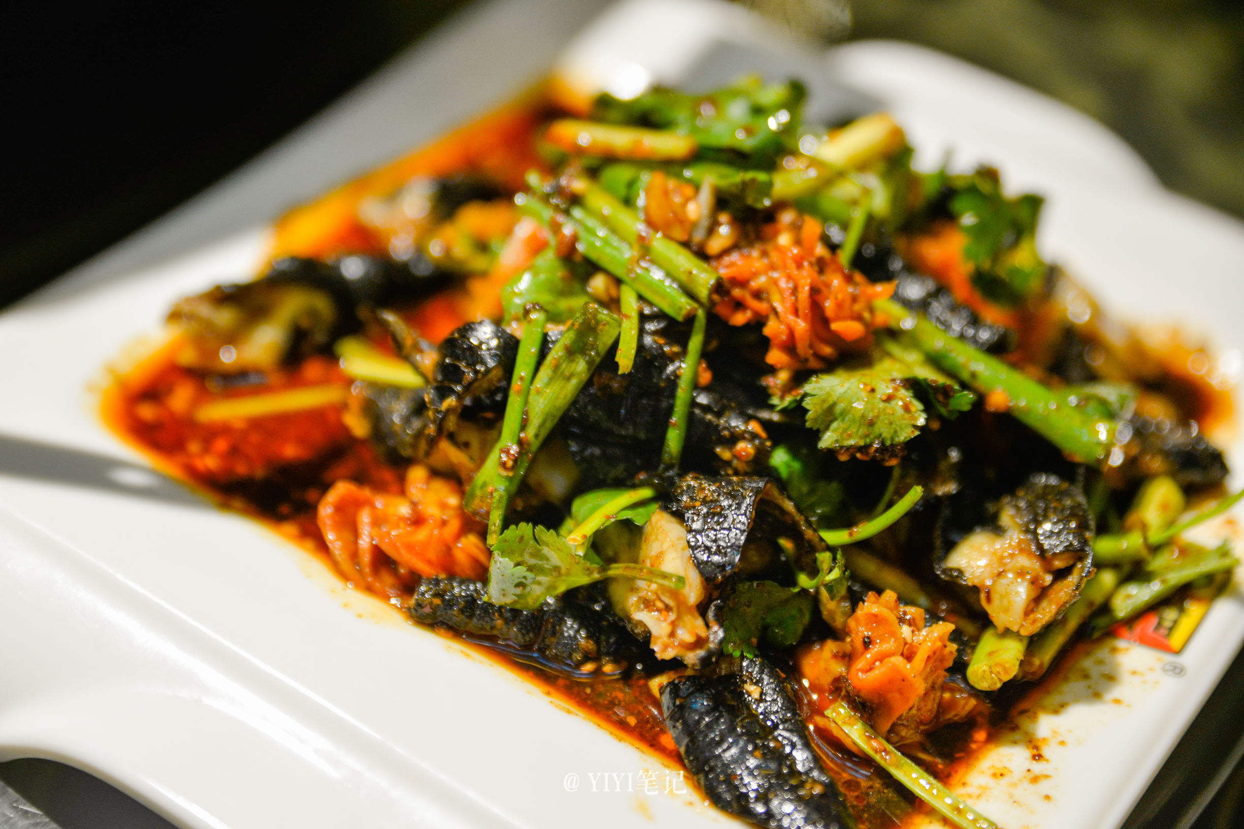 雾霾下成都,雾霾下的成都