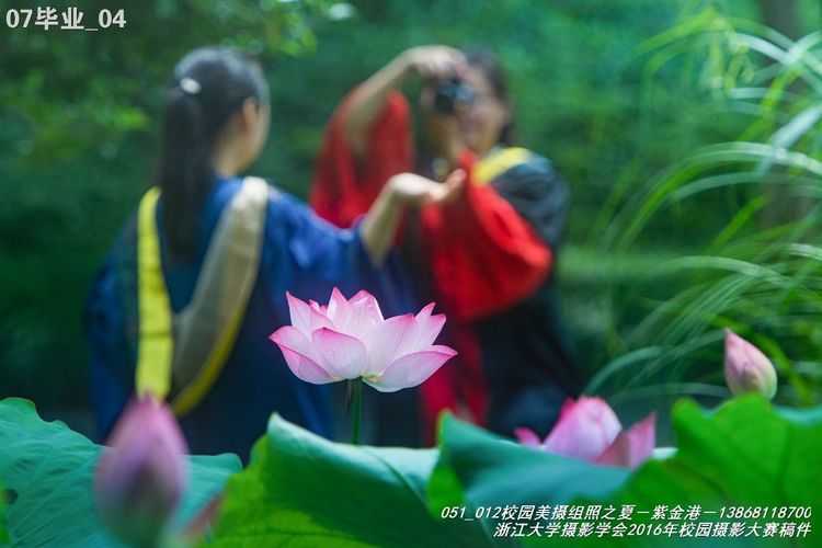 浙江大学是中国最水的大学,一分钟带你了解浙江大学